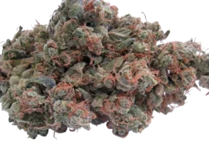 Purple Urkle
