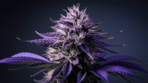 Pair­ing Purp­le Urkle with Food and Beve­rage­s